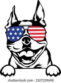 Boston Terrier Peeking Dog In Sunglasses Usa Flag Vector Image