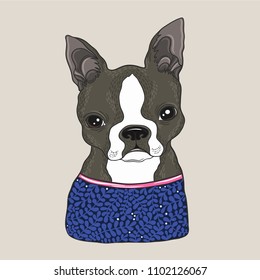 Boston terrier portrait cute colored vector illustration.