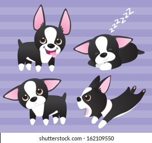 Boston Terrier puppies: Four cute cartoon black and white Boston Terrier pups