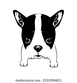 Boston terrier cachorro cachorro animal ilustração vetor linha arte desenho contínuo 