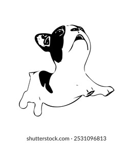 Boston terrier puppy dog animal ilustration vector line art continuous design 