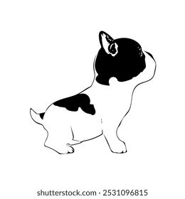Boston terrier puppy dog animal ilustration vector line art continuous design 
