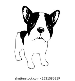 Boston terrier cachorro cachorro animal ilustração vetor linha arte desenho contínuo 