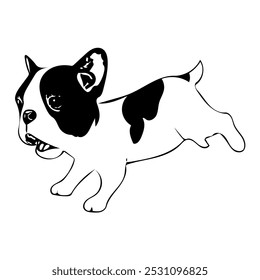 Boston terrier cachorro cachorro animal ilustração vetor linha arte desenho contínuo 