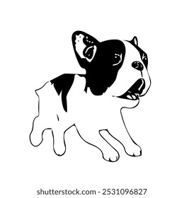 Boston terrier puppy dog animal ilustration vector line art continuous design 