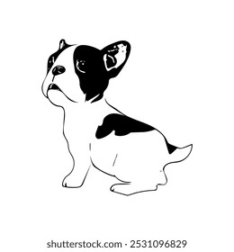 Boston terrier cachorro cachorro animal ilustração vetor linha arte desenho contínuo 