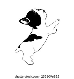 Boston terrier cachorro cachorro animal ilustração vetor linha arte desenho contínuo 