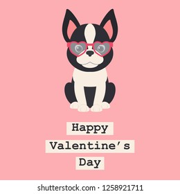 Boston terrier puppy in heart shaped glasses. Romantic Valentine's Day greeting card template
