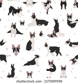 Patrón transparente de Boston terrier. La silueta sana de perro y el yoga posa fondo. Ilustración del vector