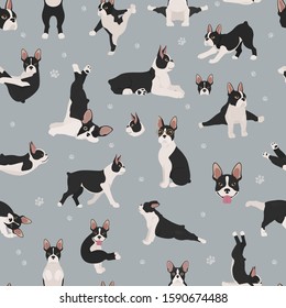 Boston terrier seamless pattern. Dog healthy silhouette and yoga poses background.  Vector illustration