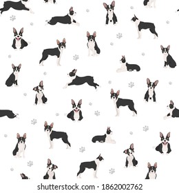 Patrón ininterrumpido de Boston terrier. La silueta sana de perro y el yoga posan al fondo.  Ilustración del vector