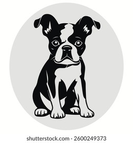 Boston terrier silhouettes and icons. Black flat color white background Boston terrier animal vector and illustration.