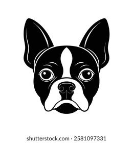 Boston terrier small dog head silhouette vector