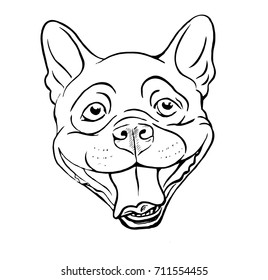 Boston terrier, smiling dog face, portrait, sketch, black and white vector illustration