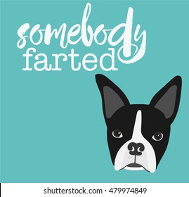 Boston Terrier with text, "Somebody Farted" for the Gassy Dog Lover.