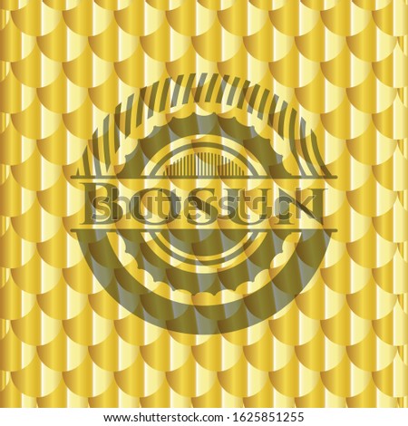 Bosun gold badge. Scales pattern. Vector Illustration. Detailed.