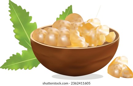 Boswellia bowl with leaves vector design