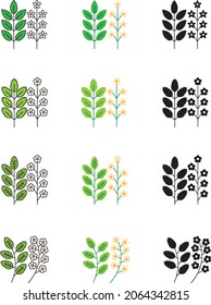 Boswellia leaves and flower pictograms
