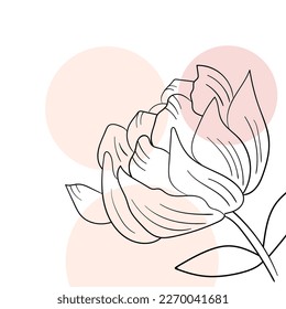 botani flower aesthetic material design decoration