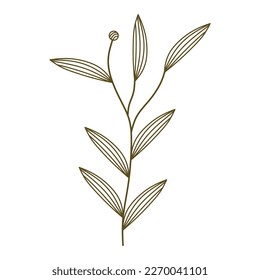 botani flower aesthetic simple drawn