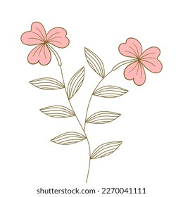 botani flower aesthetic simple drawn