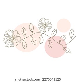 botani flower aesthetic simple drawn