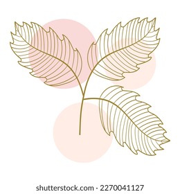 botani flower aesthetic simple drawn