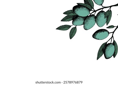 Botanic background with olive branch sketch. Ink hand drawn olives set. Botanic plant vector illustration. A sprig of an olive tree with leaves. Food concept. Wallpaper with greenery olive tree.