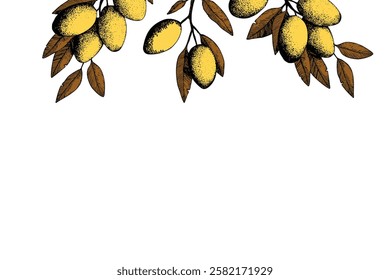 Botanic background with olive branch sketch. Ink hand drawn olives set. Botanic plant vector illustration. A sprig of an olive tree with leaves. Food concept. Wallpaper with greenery olive tree.