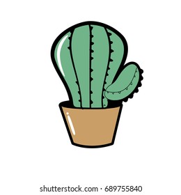 botanic cactus plant of the desert nature