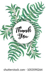 Botanic card with fern frond herbs, leaves. Spring ornament concept. Floral poster, invite. Vector layout decorative greeting card or invitation design background. Hand drawn illustration
