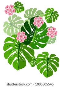 Botanic card with monstera leaf, flowers. Spring ornament concept. Floral poster, invite. Vector layout decorative greeting card or invitation design background. Hand drawn illustration