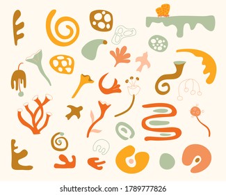 Botanic doodle shapes collection. Abstract doodle elements. Decorative fairytale floral and herbal shapes set. Collection contains circles, spirals, flowers, bugs, bird and herbs, plants. Vector