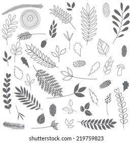 Botanic elements, design elements