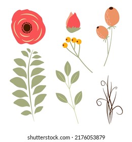 Botanic elements, flowers, leaves, berry, bransh