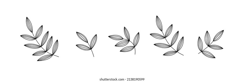 Botanic floral brush with leaf. Hand draw border. Abstract leave background pattern. Botanical texture design for print, wall arts, and wallpaper. Vector illustration