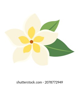 caricatura de flor botánica frangipani vector objeto aislado