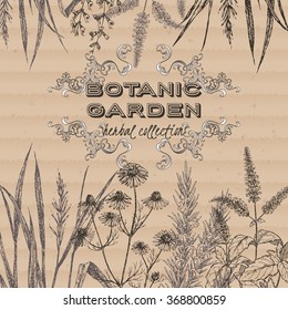 Botanic garden herbal tea label based on hand drawn sketch and placed on cardboard background.