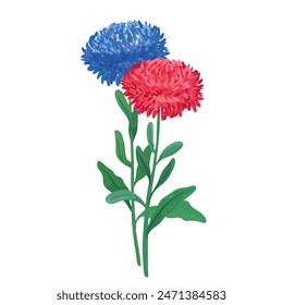 Ilustración botánica de máster azul y rojo