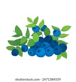 Botanic illustration of blueberry branch with leaves