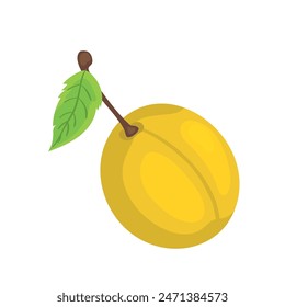 Botanische Illustration Frucht von gelber großer Pflaume