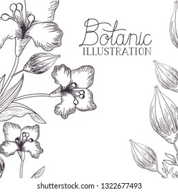 botanic illustration label with plants