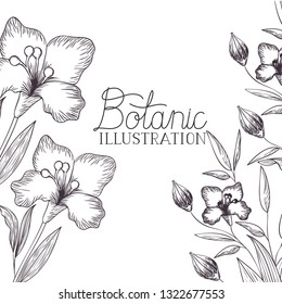 botanic illustration label with plants