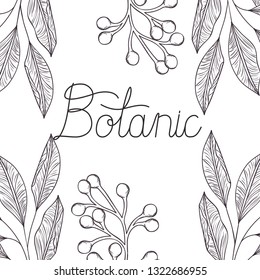 botanic illustration label with plants