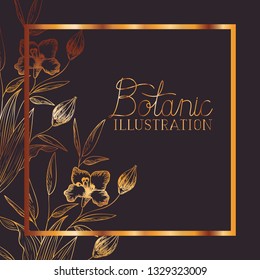 botanic illustration label with plants