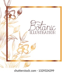 botanic illustration label with plants