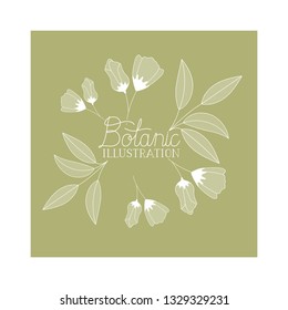 botanic illustration label with plants