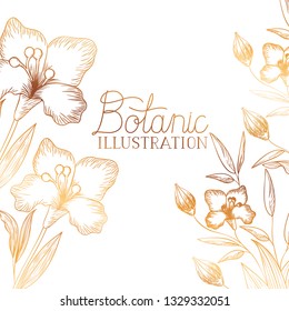 botanic illustration label with plants