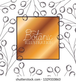 botanic illustration label with plants