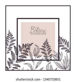 botanic illustration label with plants